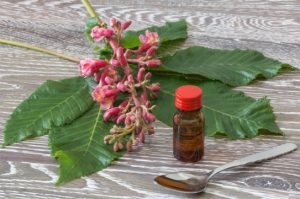 Já ouviste falar da terapia com florais de Bach?