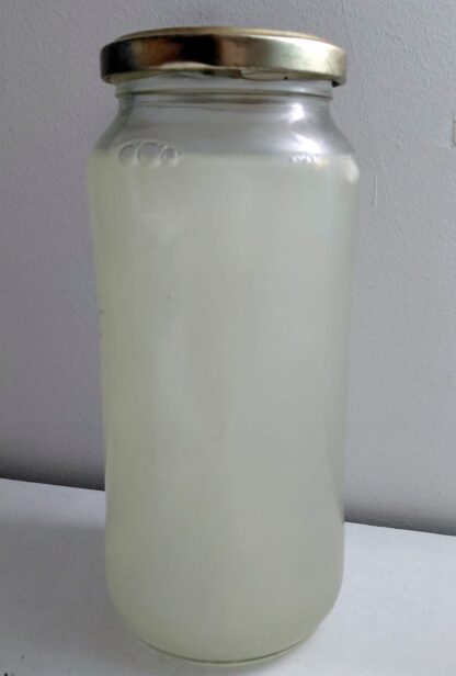 Fermentado